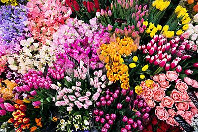 《龙腾世纪》主创回应woke批评大骂玩家：该死的游客